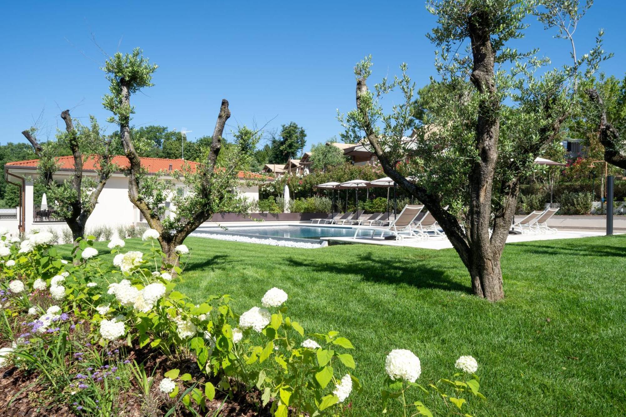 Villa Silvia Apartments San Felice del Benaco Dış mekan fotoğraf